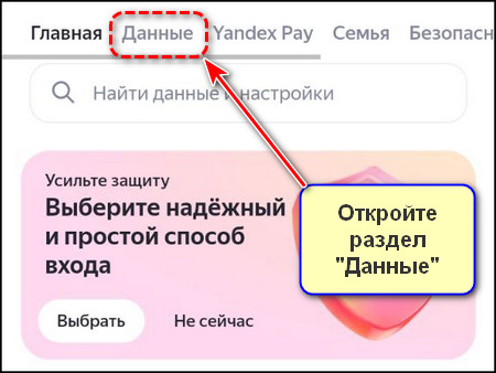 Данные в приложении Яндекс с Алисой