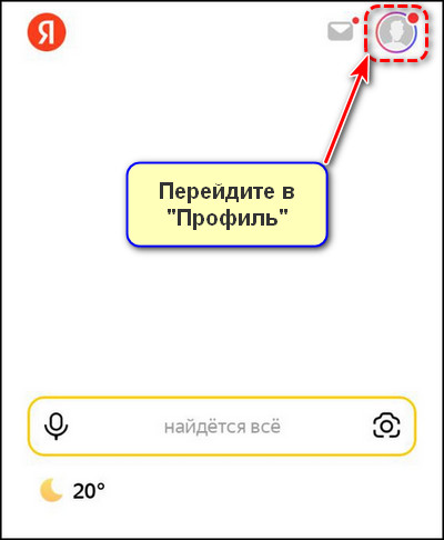 Профиль в приложении Яндекс с Алисой