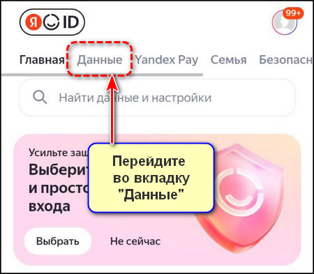 Вкладка Данные в приложении Яндекс с Алисой